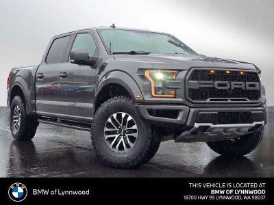 2019 Ford F-150 Raptor