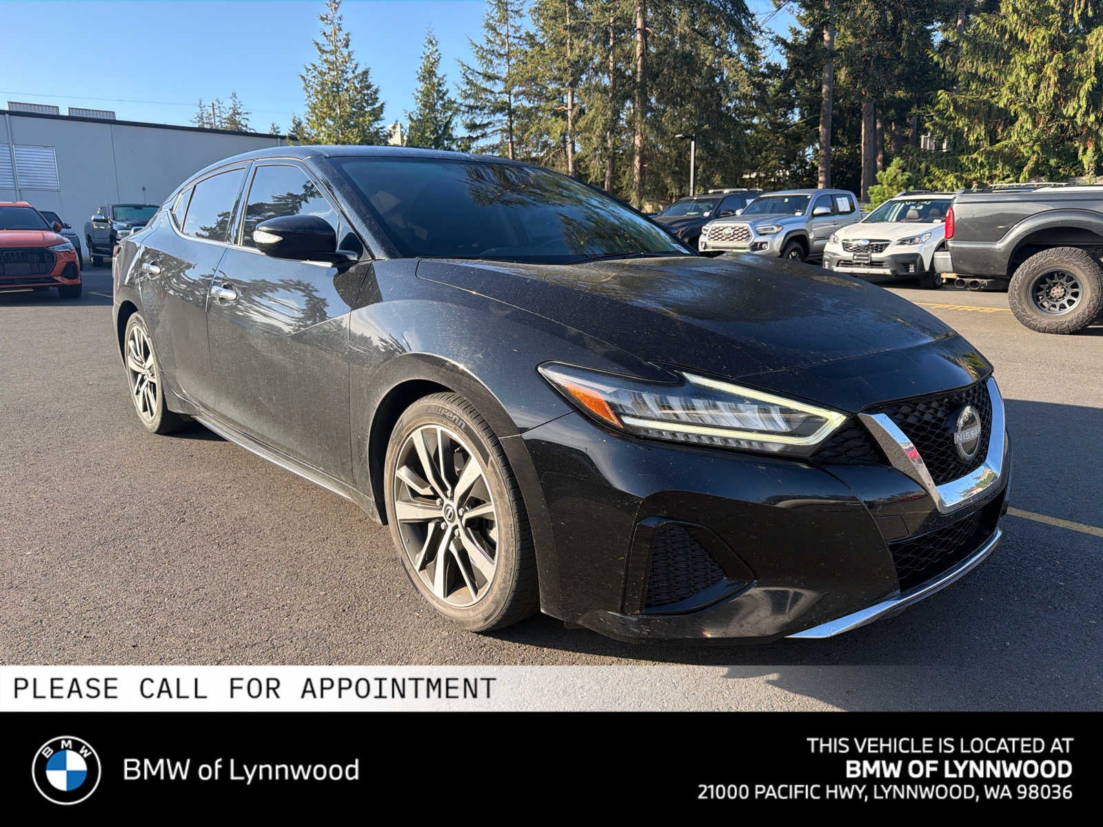 2023 Nissan Maxima SV