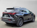 2024 Lexus NX 350 NX 350 Premium