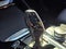 2021 BMW X3 sDrive30i sDrive30i