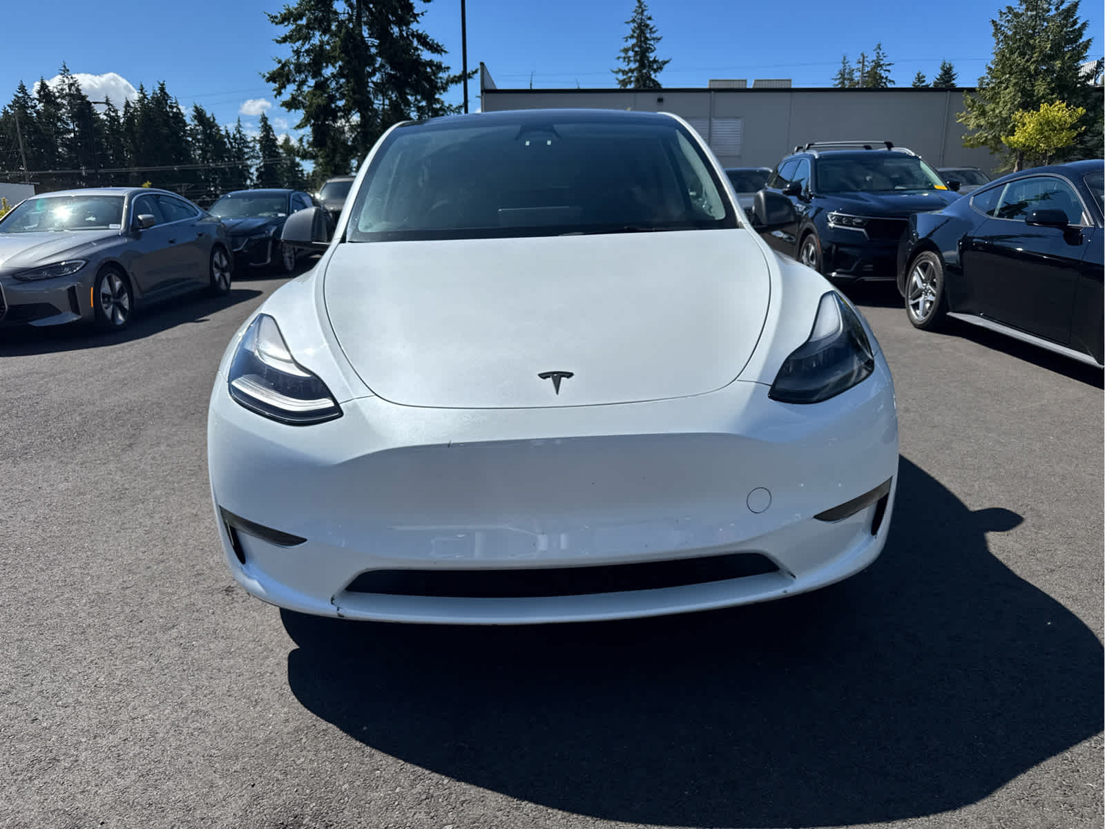 2023 Tesla Model Y Long Range