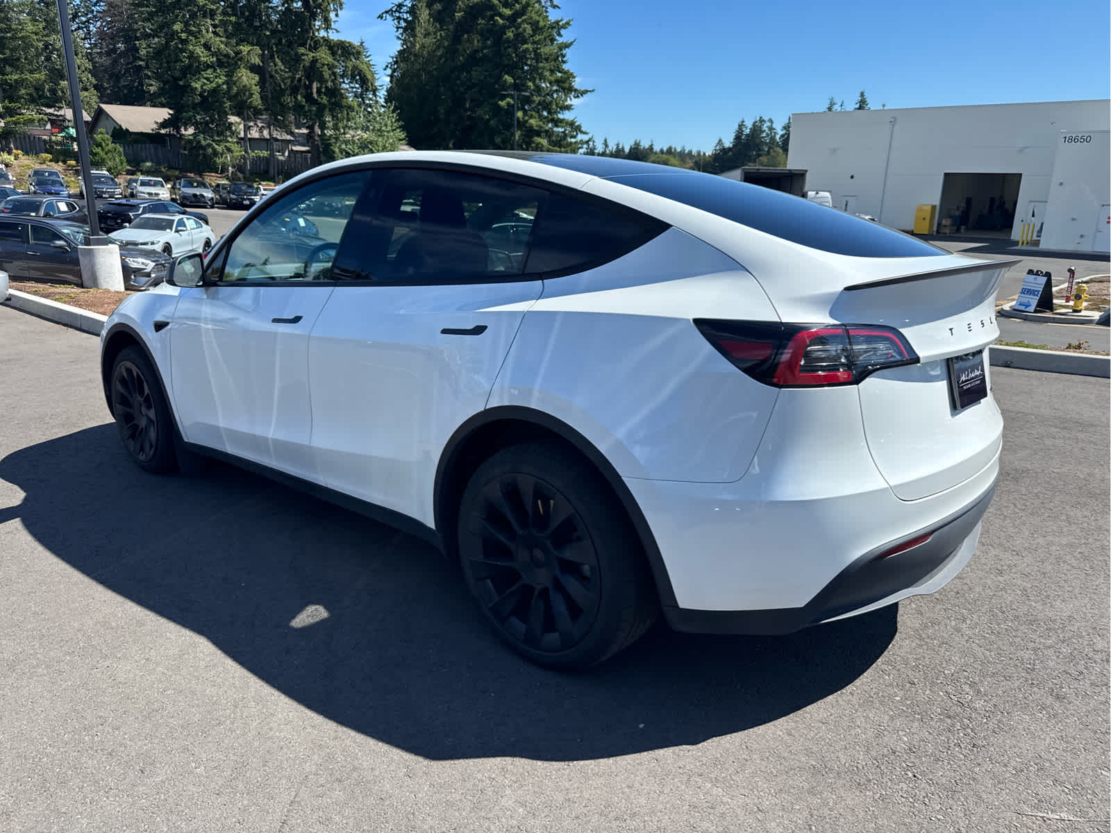 2023 Tesla Model Y Long Range