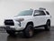 2019 Toyota 4Runner TRD Off Road Premium