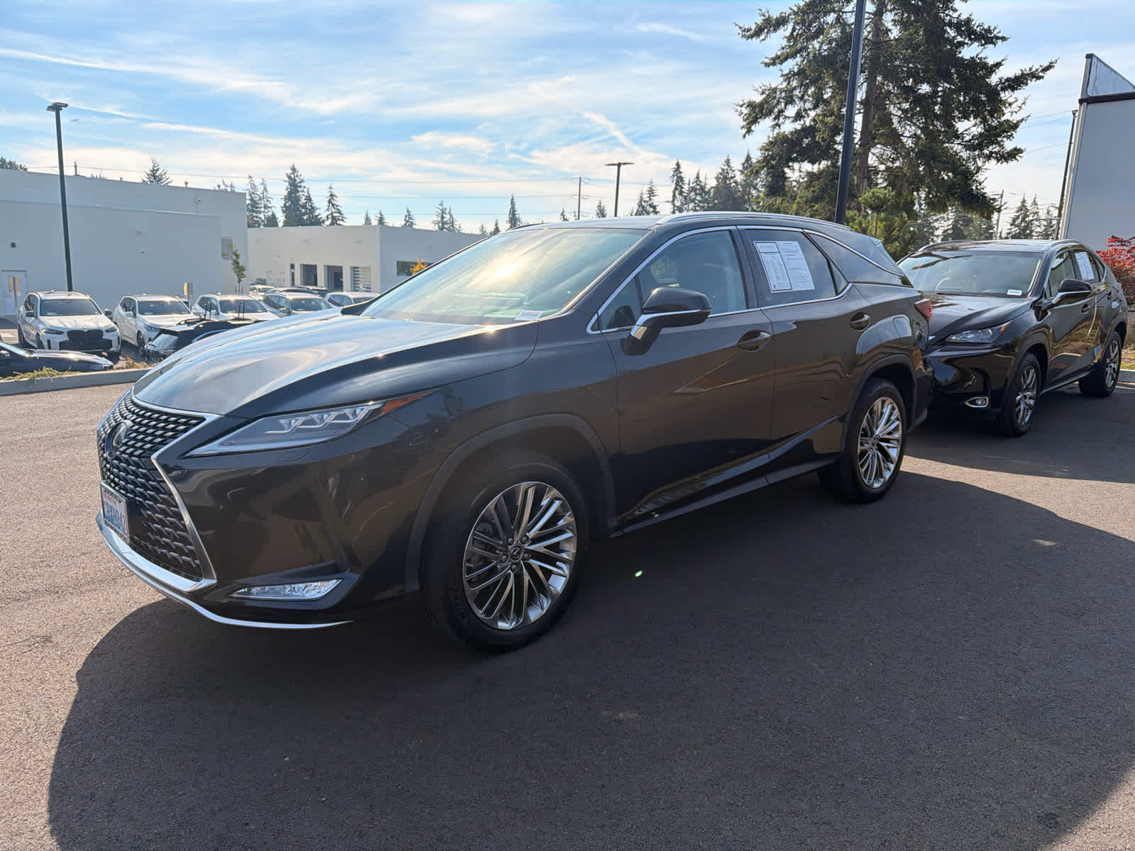 2022 Lexus RX 350L RX 350L Luxury