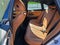 2023 BMW i4 eDrive35 eDrive35
