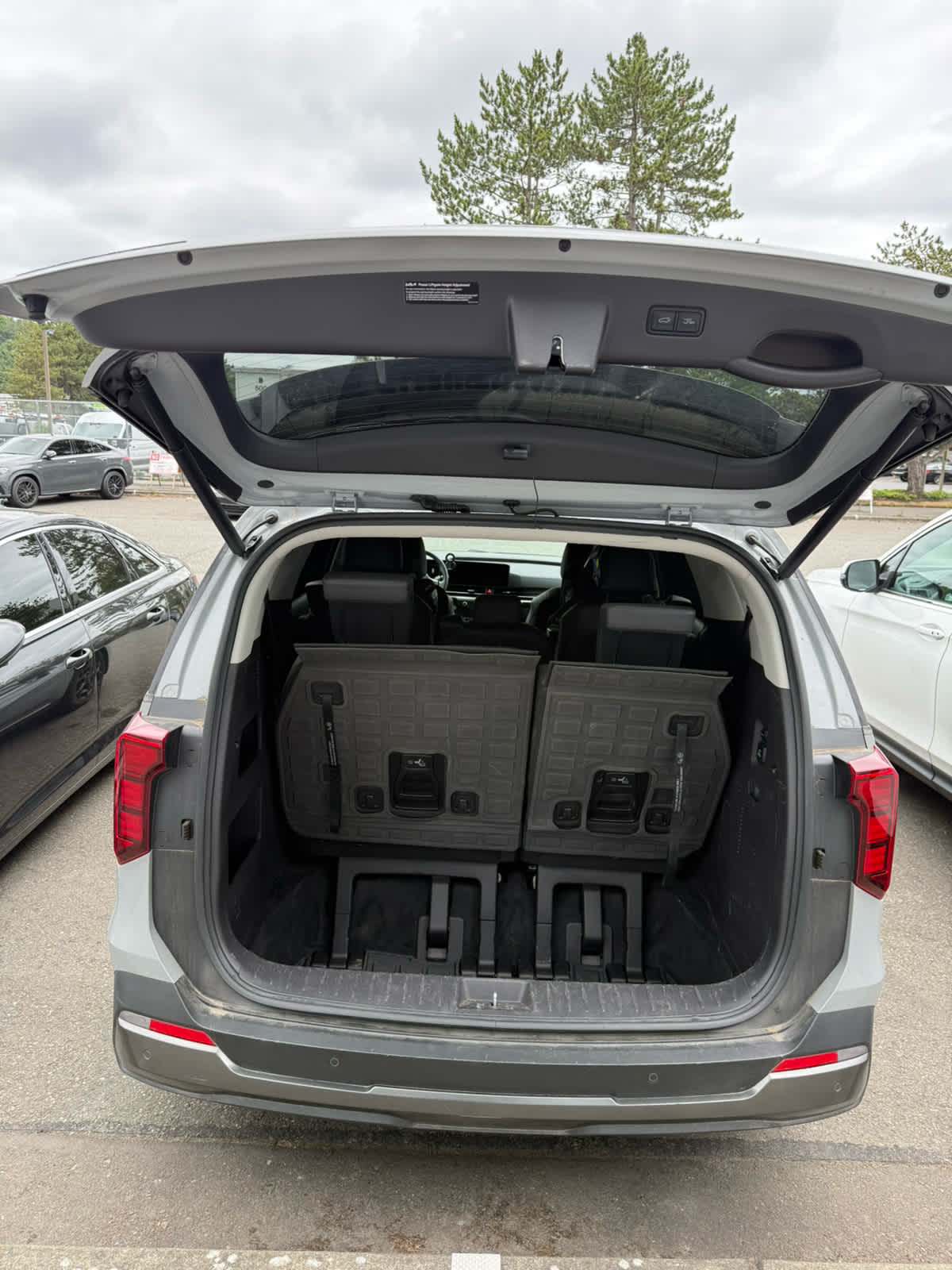 2025 Kia Carnival Hybrid SX