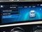 2021 Mercedes-Benz A 220 A 220