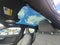2024 Polestar 2 Base