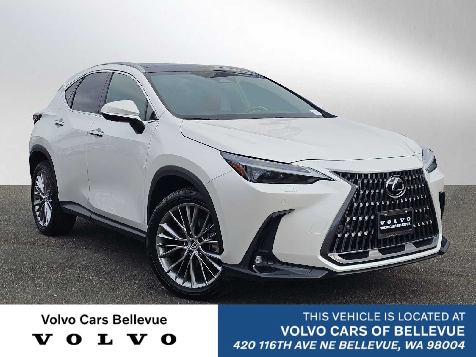 2024 Lexus NX 350 Luxury