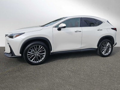 2024 Lexus NX 350 Luxury
