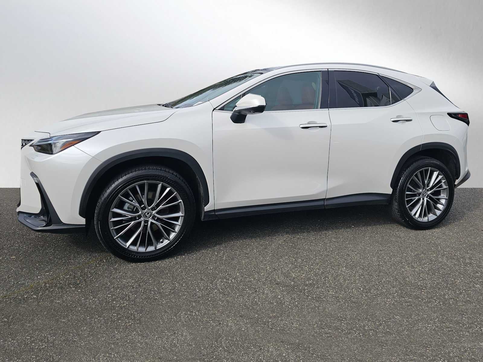 2024 Lexus NX 350 Luxury