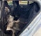 2023 Volvo XC40 Recharge Pure Electric Ultimate