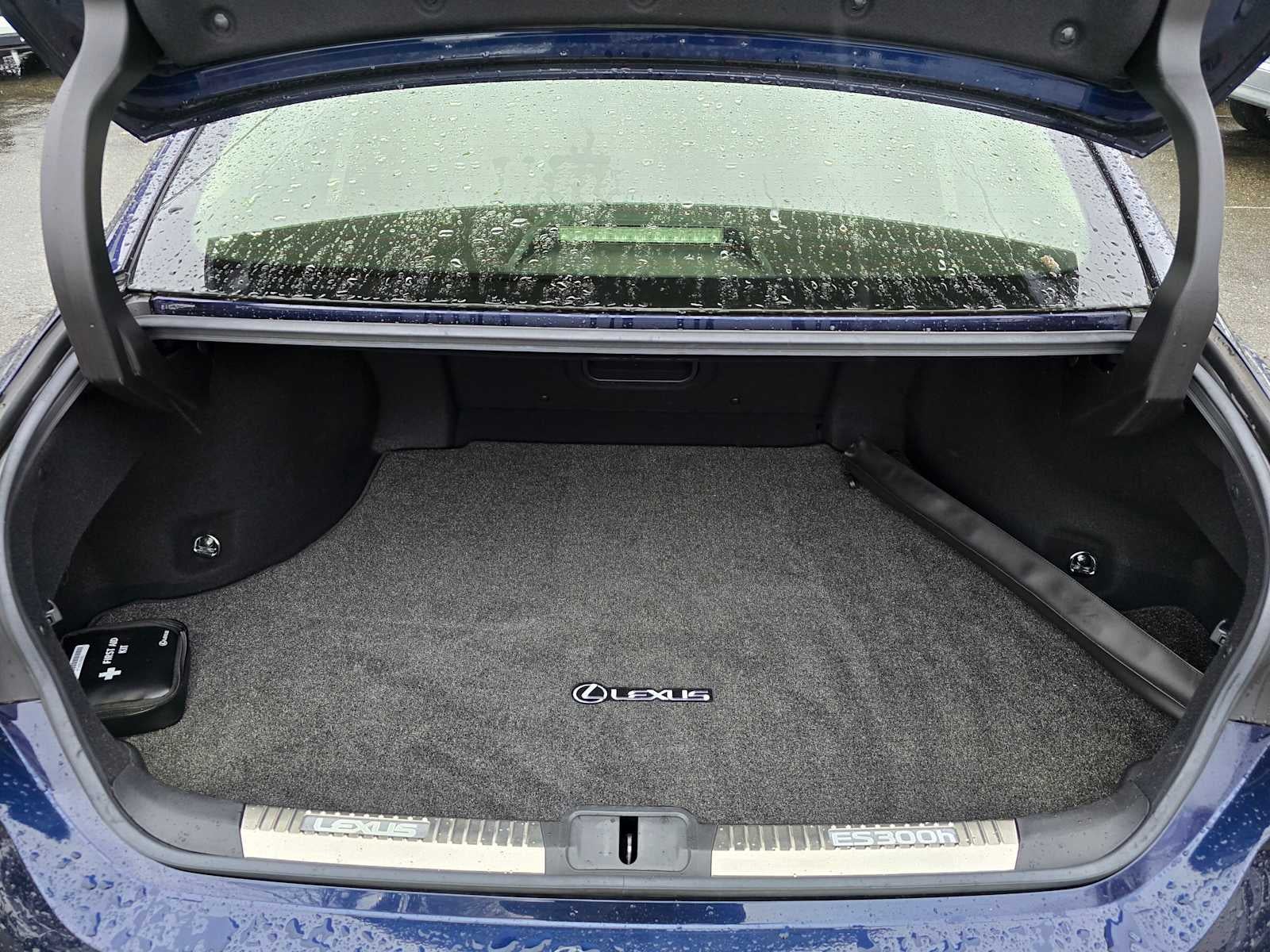 2019 Lexus ES Luxury