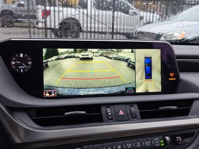 2019 Lexus ES Luxury