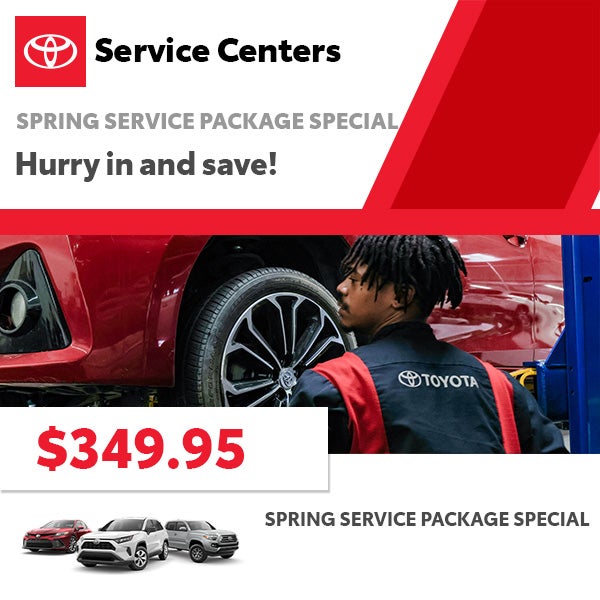 Spring Service Package Special
